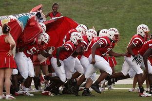 开云体育官网下载-国家队技战术水平提升瓶颈，国家技巧队