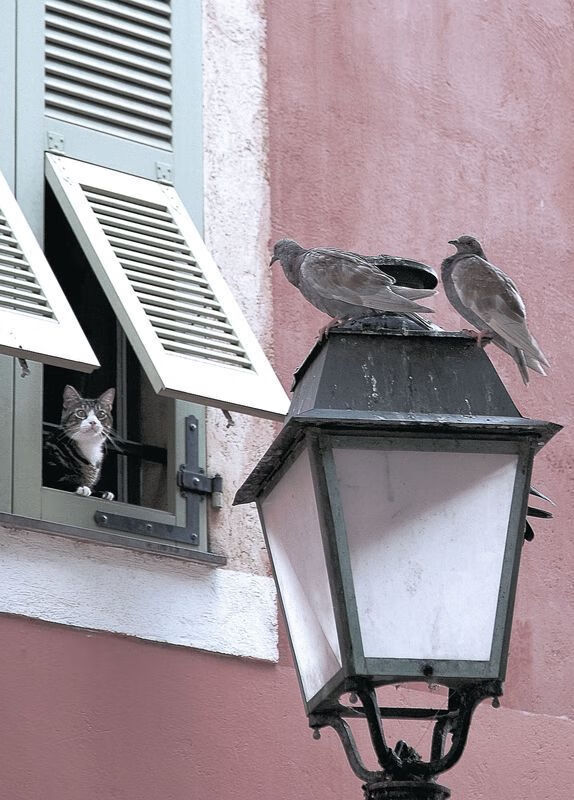 开云体育登录入口-俱乐部组织参观学习活动促进青训与一线队经验传承无缝衔接，俱乐部活动新闻稿