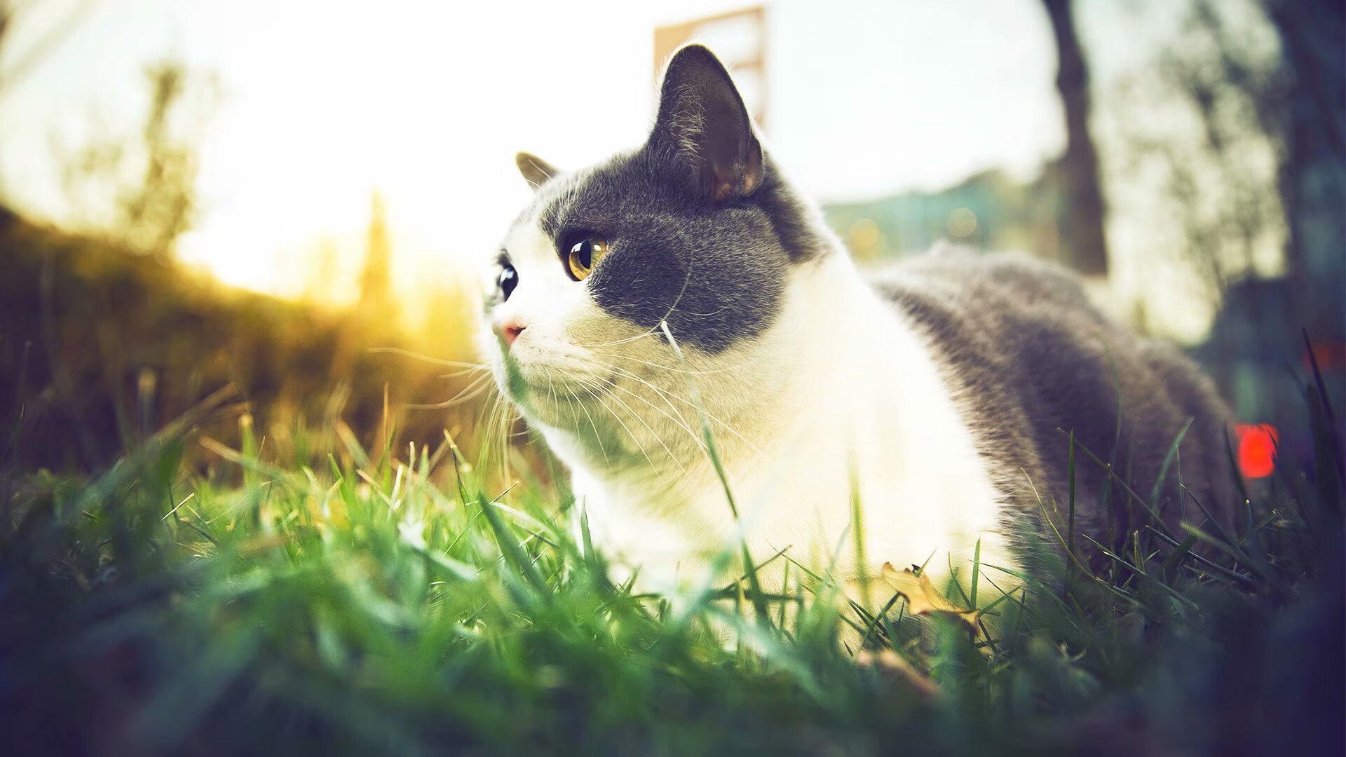 国家体育装备中心发布冬季项目训练服标准规范，冬季体育训练服是什么样的