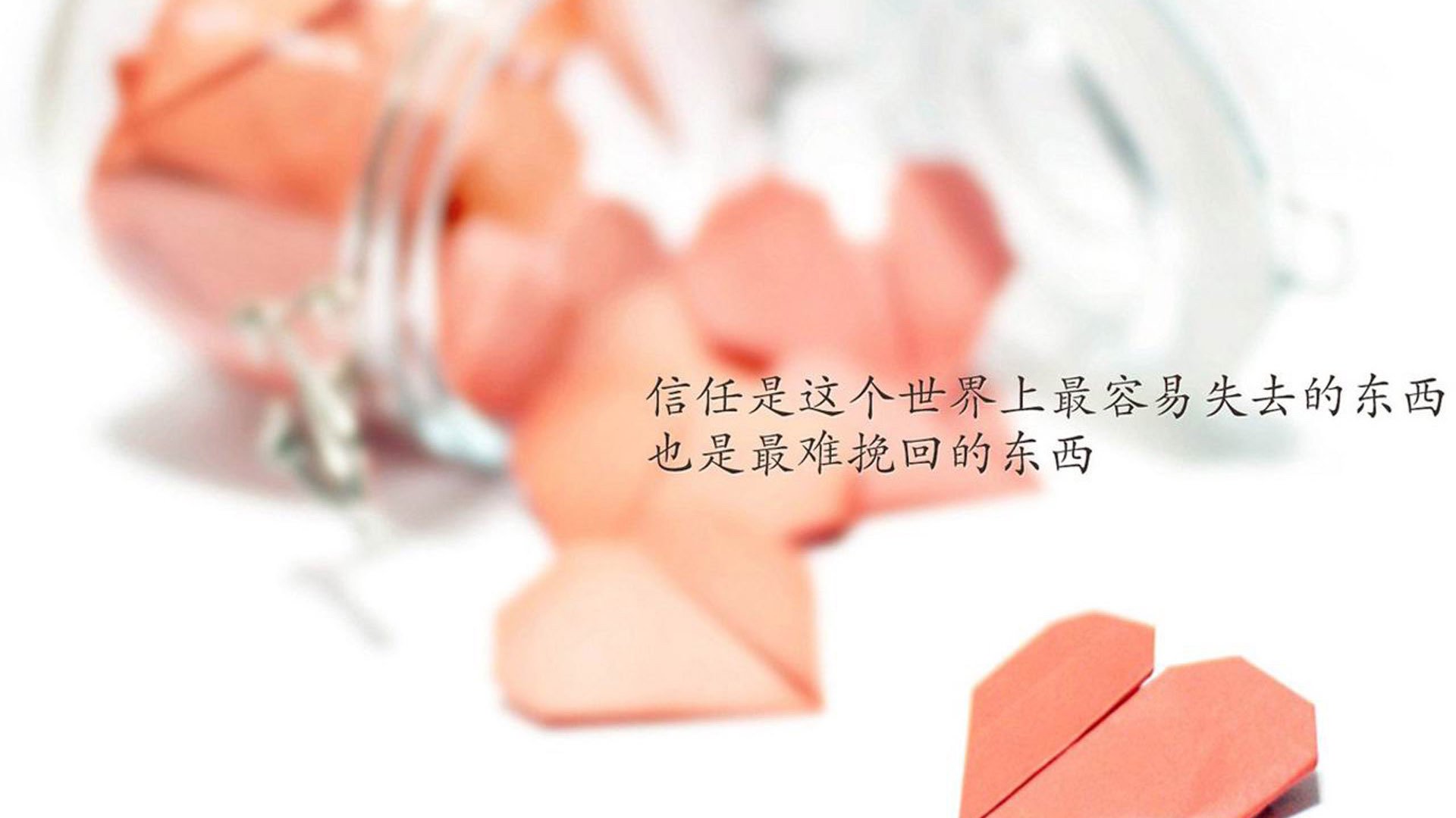 墙外观众席开启,远程球迷互动成新趋势