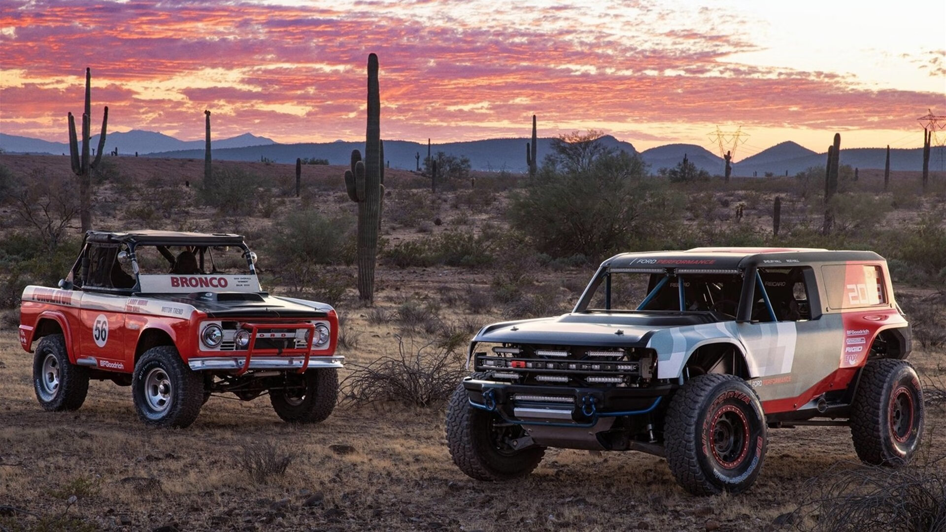 开云体育app在线-希腊女篮再次夺冠，持续传承辉煌荣耀，希腊女篮直播
